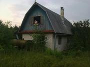 Дача-охотничий дом в 4 км от г.Слоним (Гродненская обл.,  Беларусь)